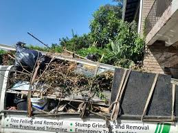 Best Commercial Junk Removal  in Middle Valley, TN