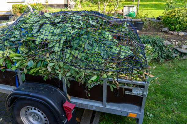 Best Carpet Removal and Disposal  in Middle Valley, TN